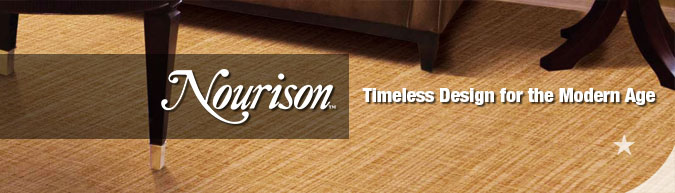 Nourison pattern carpet collection save 30-60% on sale