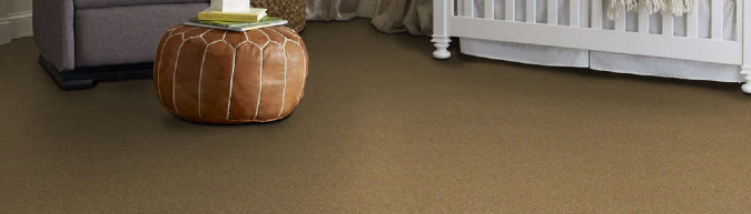 Shaw Floors Enduring Comfort I at Discount prices from AMerican Carpet Wholesalers