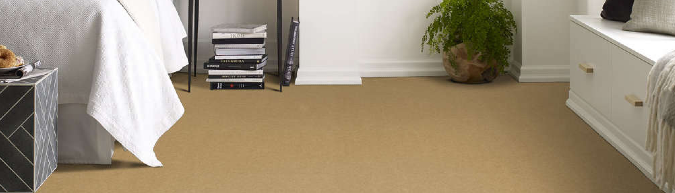 Shaw Carpet on sale now at low prices. Find discounted prices on Pet Perfect Hard at Play I.