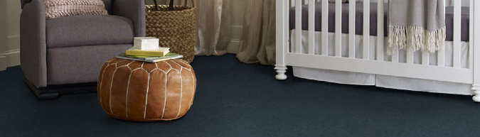 Limited Time Offer: Wholesale Carpet Prices on 12' wide Shaw Floors Hard At Play II