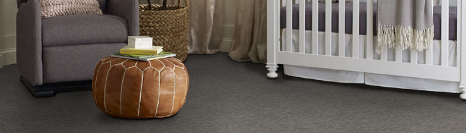Shaw Floors Pet Perfect Collection Run Free on sale now at American Carpet Wholesalers
