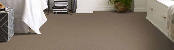 Unbeatable Carpet Prices! On Sale Now - Shaw Floors Well Made Carpet!