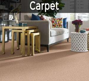 Shop our Carpet flooring selection