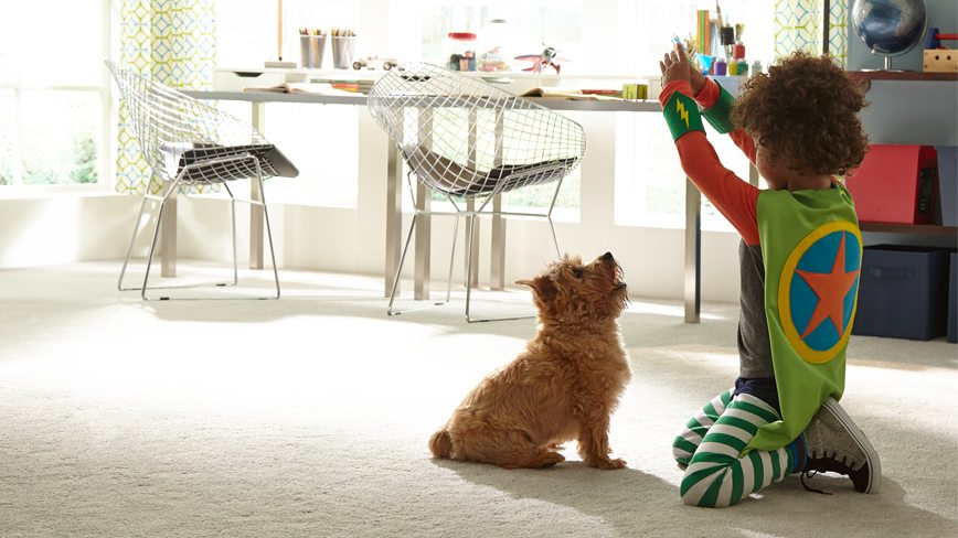 Child and Dog Playing on Stainmaster PetProtect Carpet Flooring