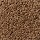 Shaw Floors: Lonestar Buckwheat