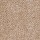 Shaw Floors: XV071 Biscuit