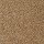 Shaw Floors: XV071 Mink