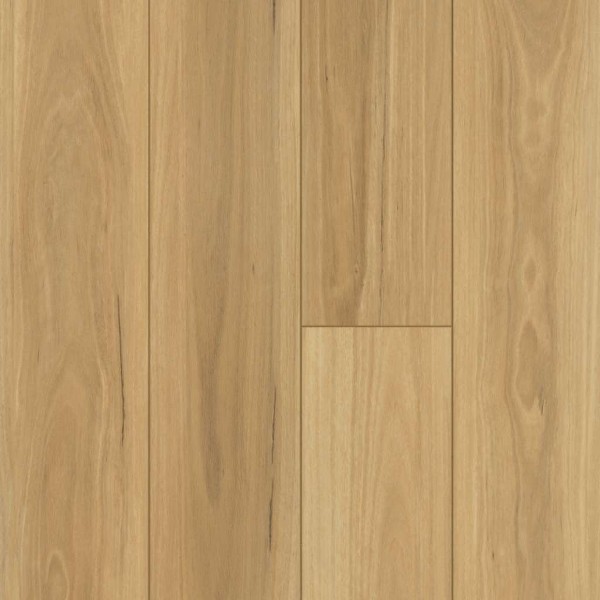 Shaw Luxury Vinyl Distinction Plank Plus Floorte Eucalyptus